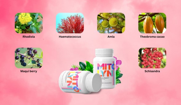 diet for weight loss